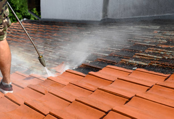 Best House Pressure Washing  in Pleak, TX