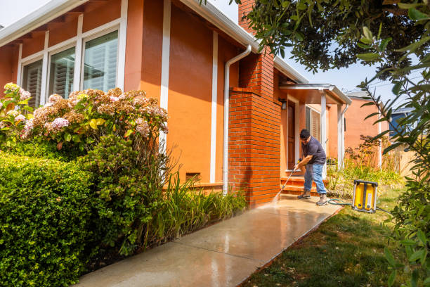  Pleak, TX Pressure Washing Pros